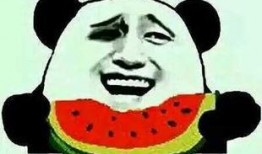 娱乐吃瓜酱有梗的人,趣味横生的人生片段