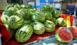 韩城网红吃瓜事件真相,真相背后的网络狂欢与反思