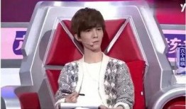 大爆料郭敬明是谁啊视频,郭敬明背后的故事与真相