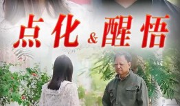 养欲之恩87在线观看,揭秘背后感人故事，温情回顾