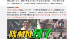 卓伟爆料劈叉事件视频完整版,劈叉事件视频完整版揭露惊人真相