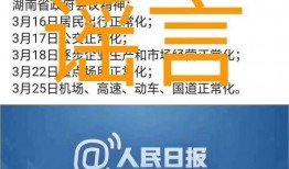 湖南郴州爆料新闻视频大全,聚焦民生热点，揭示社会现象