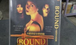 大胆爱小心偷在线观看,浪漫悬疑，一网情深