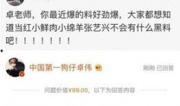 卓伟爆料什么事情了视频,揭秘娱乐圈惊人内幕