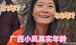 广西小凤被爆料视频大全,揭秘网络舆论背后的真相