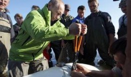 契卡在线观看完整版,揭秘神秘组织背后的真相