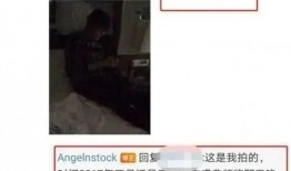 合肥吴某爆料事件最新情况,真相逐步浮出水面，最新进展揭秘