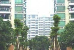 嘉禾新城最新爆料,揭秘未来城市生活新地标！