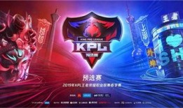 番薯爆料流浪者视频大全,流浪者视频大全，温情与挑战并存的人生百态