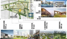 网红弯弯最新爆料动态,揭秘网红圈层内幕