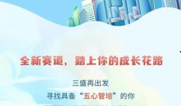 三盛集团爆料最新消息,揭秘重大战略调整与未来发展动向