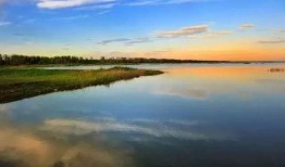 团湖水库爆料视频播放,揭秘水库生态现状与治理挑战