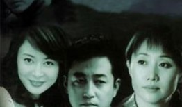 电视剧人证在线观看,真相与情感的交织之旅