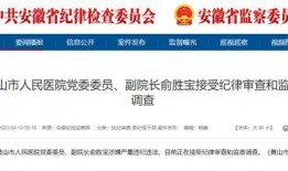 大皖新闻怎样爆料,揭秘爆料流程，助力公众监督