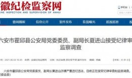 大皖新闻怎样爆料,揭秘爆料流程，助力公众监督