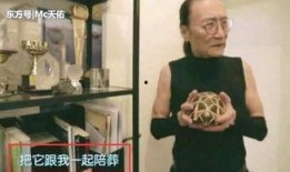 谢贤爆料王菲视频,独家视频曝光惊人内幕