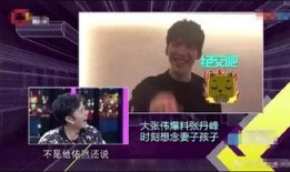 张伟爆料斯文的视频播放,斯文背后的惊人真相，视频播放引发热议