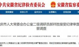 大皖新闻怎样爆料,揭秘爆料流程，助力公众监督