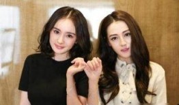 娱乐圈爆料官方女主小说,揭秘官方女主的神秘爱情故事