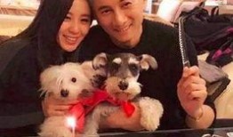刘诗诗今日爆料,揭开娱乐圈不为人知的一面