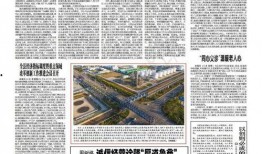 金乡小夏最新爆料新闻,揭秘最新热点事件内幕