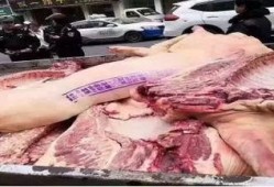 猪瘟最新爆料视频播放,视频揭示疫情真相与防控措施