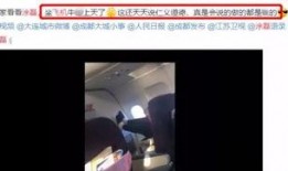 网友爆料飞机事件真相视频,视频还原惊心动魄瞬间