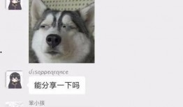 甜水面小哥的爆料视频,视频爆料背后的惊人真相