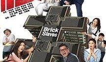 楼奴在线观看国语,揭秘都市白领的购房困境
