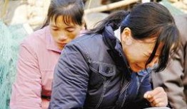 赔罪记者会在线观看,真相与反思的交织