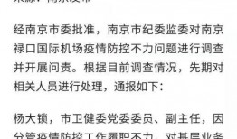 熹贵妃吃瓜日常全文免费,揭秘后宫秘闻与宫廷生活