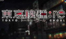 视频爆料者被抓,视频爆料者被捕事件引发社会关注