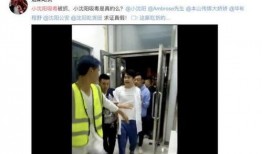叶晓楠爆料视频播放大全,揭秘背后惊人真相