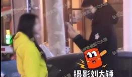 刘大锤爆料原版视频,原版视频背后的惊人真相