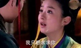 陆贞传奇59集在线观看,揭秘宫廷秘辛，陆贞智斗权谋