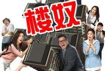 楼奴在线观看国语,揭秘都市白领的购房困境