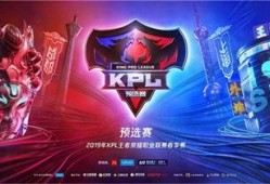 番薯爆料流浪者视频大全,流浪者视频大全，温情与挑战并存的人生百态