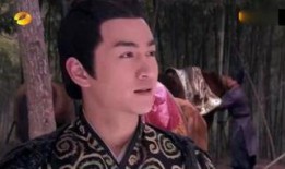 陆贞传奇59集在线观看,揭秘宫廷秘辛，陆贞智斗权谋