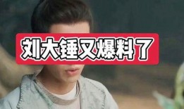 刘大锤爆料原版视频,原版视频背后的惊人真相