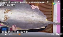 美女被鲨鱼爆料视频大全,美女与鲨鱼亲密接触，揭秘海洋神秘面纱