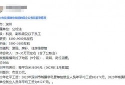深圳工资最新爆料,薪资水平揭秘，行业差距一览无余