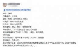 深圳工资最新爆料,薪资水平揭秘，行业差距一览无余
