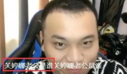 田娃关婷娜爆料了吗视频,揭秘背后真相