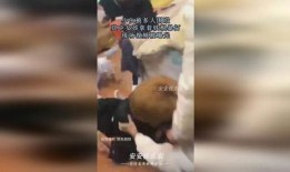 小伙爆料女子被打视频,小伙勇敢曝光，社会关注女性安全