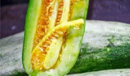 郯城网红吃瓜,揭秘当地美食背后的故事