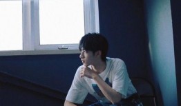 内部人员爆料刘耀文视频,揭秘明星幕后生活片段