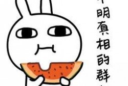 娱乐吃瓜酱完形填空